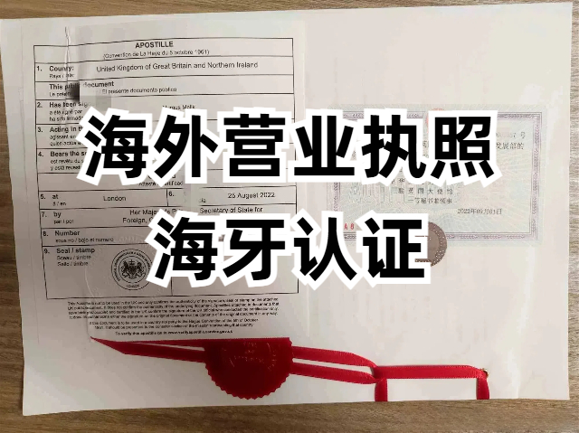 营业执照海牙认证怎么操作？流程？